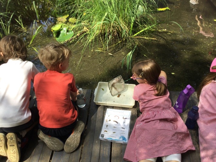 Y3 trip to Camley Street Nature Park July 2024