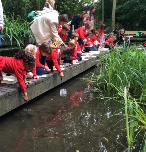 Y1 trip to the Nature Park June 2025