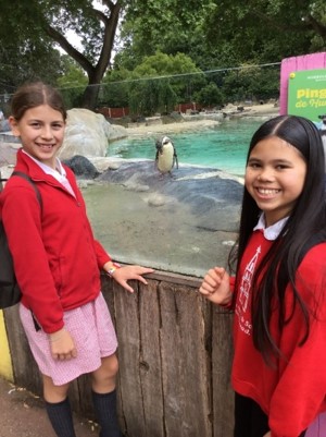 Wellbeing Champions at London Zoo June 2025