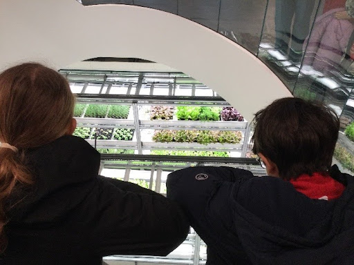 CREW trip to the vertical farm March 2026