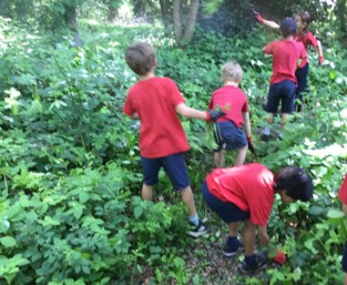 Y3 Heath Hands volunteering May 2026