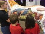 Y4 and Y5 Camden careers event September 2026